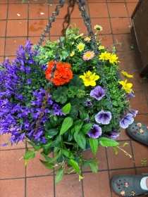 Hanging Baskets