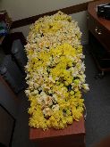 All Daffodil Coffin Spray  £180.00