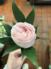 Single Garden Rose Buttonhole