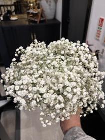 All Gyp Bridesmaid Bouquet 