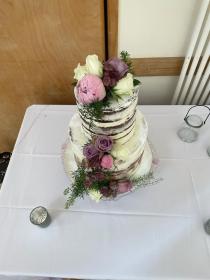 Garden Rose, Purples and white 