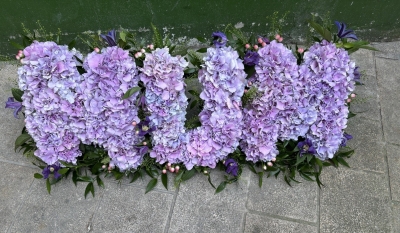MUM in all Hydrangeas