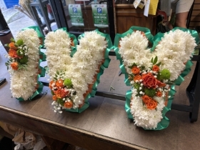 IVY in Irish Colours