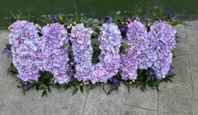 MUM in all Hydrangeas