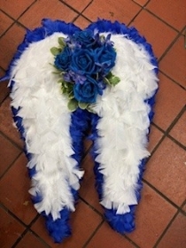 Silk Angel Wings